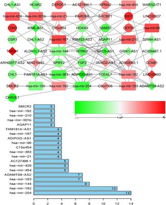 Construction and Comparison of ceRNA Regulatory Network for Different Age Female Breast Cancer